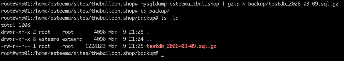 Термінал з виконанням команди mysqldump для створення бекапу MySQL бази даних