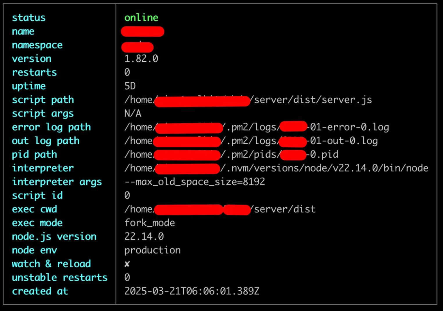 PM2 describe — деталі Node.js процесу: версія 22.14.0, production, uptime 5D
